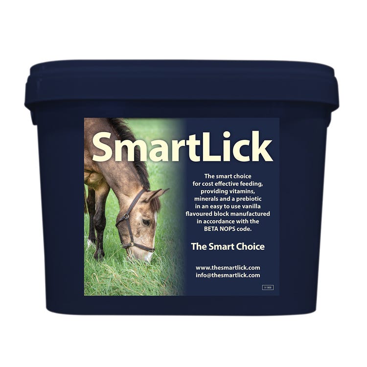 Horslyx SmartLick image 1